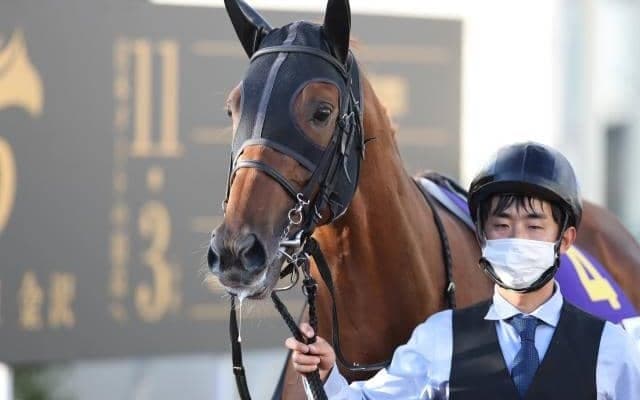 【チャンピオンズC展望】ダートの頂上決戦、あの馬の巻き返しを期待したい