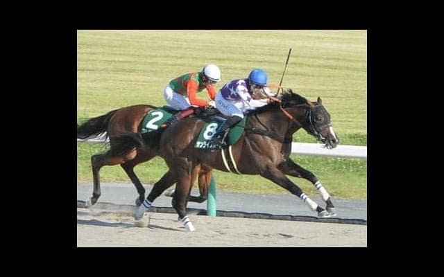 チャンピオンズＣは今年のダート戦線でめっぽう強い「エーピーインディ系」から２頭を厳選