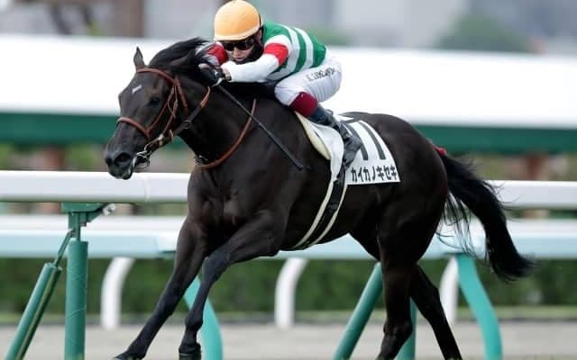 【全日本2歳優駿 登録馬】函館2歳S2着のカイカノキセキ、鎌倉記念を制したシルトプレなど