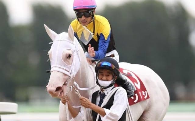 【チャンピオンズC枠順確定】連覇狙うチュウワウィザードは7枠13番、初ダートのソダシは1枠1番