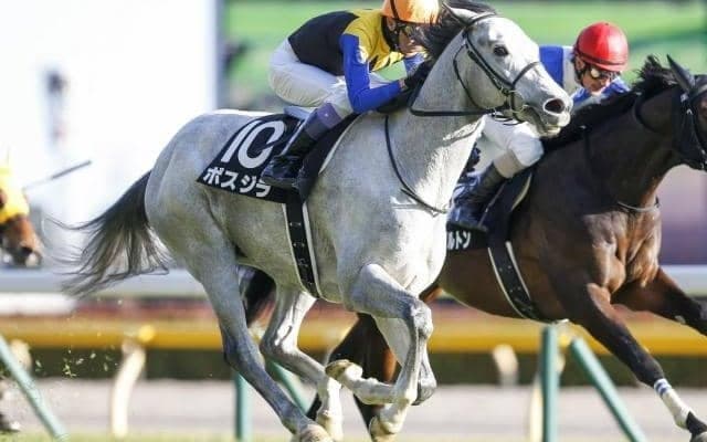 【ステイヤーズS出走馬・騎手確定】ボスジラ＆菅原明良騎手、アイアンバローズ＆石橋脩騎手など13頭