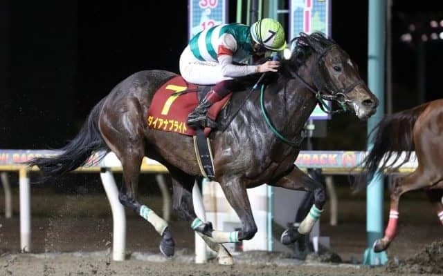 【クイーン賞回顧】鞍上の好判断でダイアナブライト/斎藤修