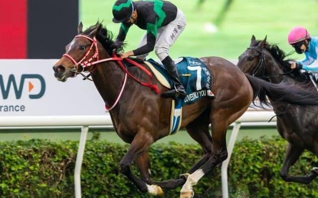 【香港国際競走】栗東所属の日本馬8頭が香港に到着