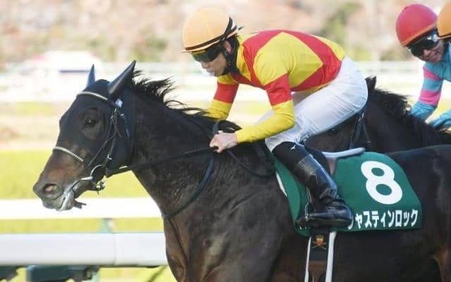 【次走】京都2歳S覇者ジャスティンロックは放牧へ　吉岡師「弥生賞から皐月賞を目指したい」