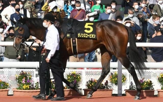【次走】デビュー2連勝のダノンスコーピオンは松山騎手とのコンビで朝日杯FSへ