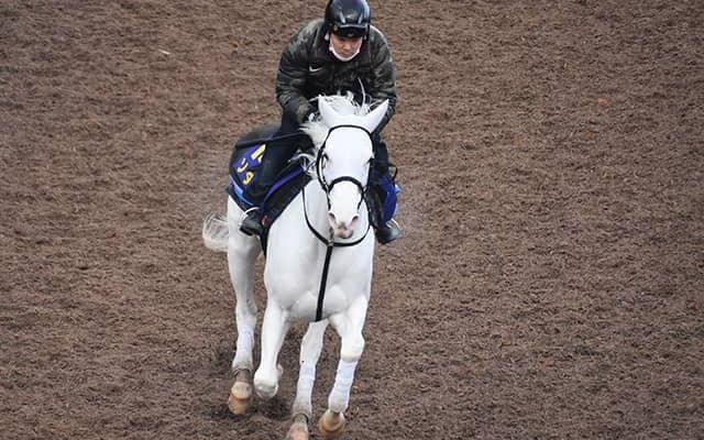 【チャンピオンズC 調教後馬体重】ソダシは480kg、チュウワウィザードは494kg