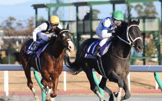 【チャンピオンズC】ソダシは1枠1番