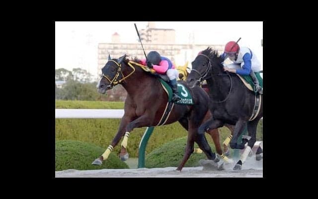 チャンピオンズＣの頭はソダシ。それでも上昇気流に乗る伏兵２頭が高配当を運んでくる