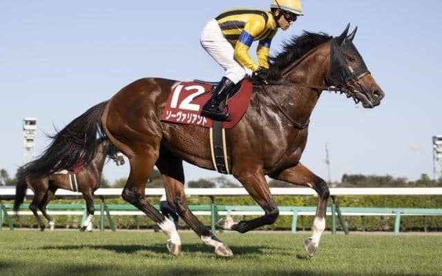 【チャレンジC枠順確定】ソーヴァリアントは大外8枠11番、ジェラルディーナは1枠1番
