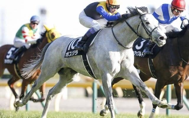 【ステイヤーズS枠順確定】ボスジラは6枠9番、アイアンバローズは4枠5番