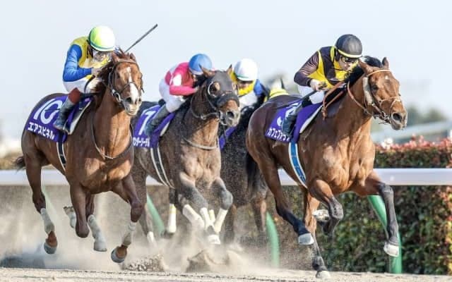 【チャンピオンズC予想】魅力的な伏兵が多い一戦　”激走の余地”がある馬は？