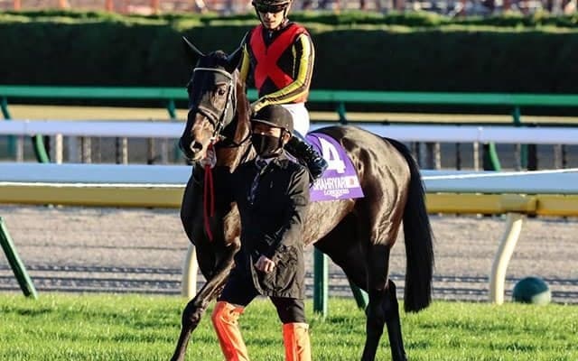 【次走】ジャパンカップ3着のシャフリヤールは年内休養　藤原師「来年に向けて」