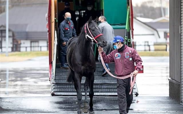 コントレイルが社台スタリオンステーションに到着「日本の宝を預かった気分です」