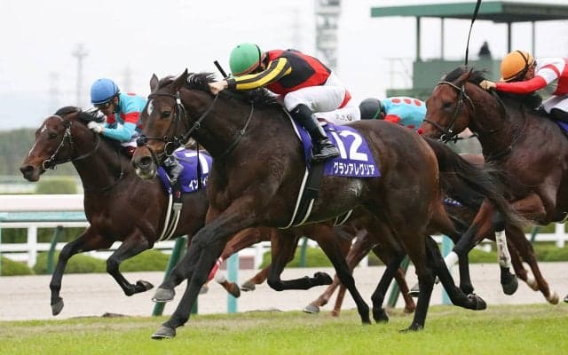 グランアレグリアの引退式を中山競馬場で開催