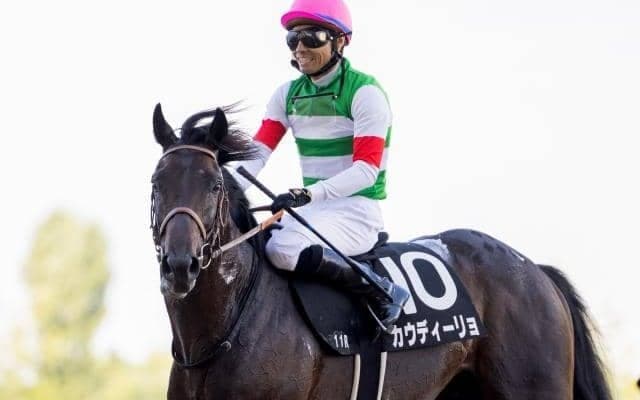 【本日の注目ポイント】中山でステイヤーズS、阪神でチャレンジC