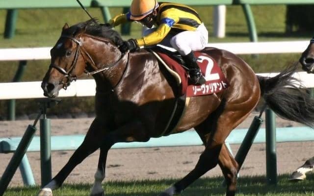 【チャレンジC予想】古豪と新星が中長距離路線で飛躍誓う