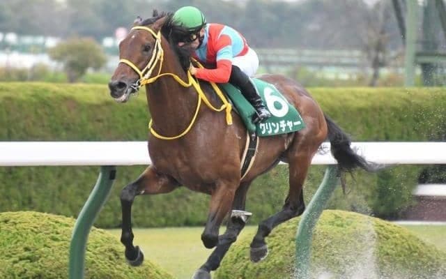 【チャンピオンズC】クリンチャー宮本師「人気ないらしいわ…フフッ」/ねぇさんのトレセン密着