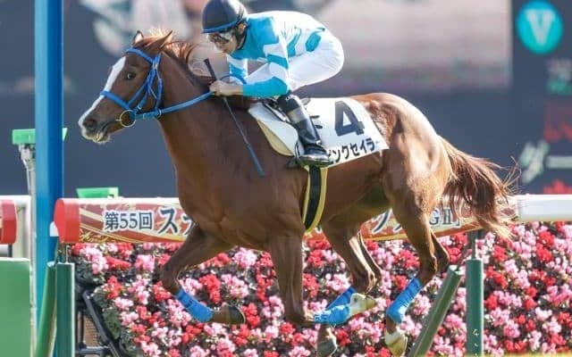 【中山5R新馬戦結果】7番人気ピンクセイラーが逃げ切って3馬身差完勝