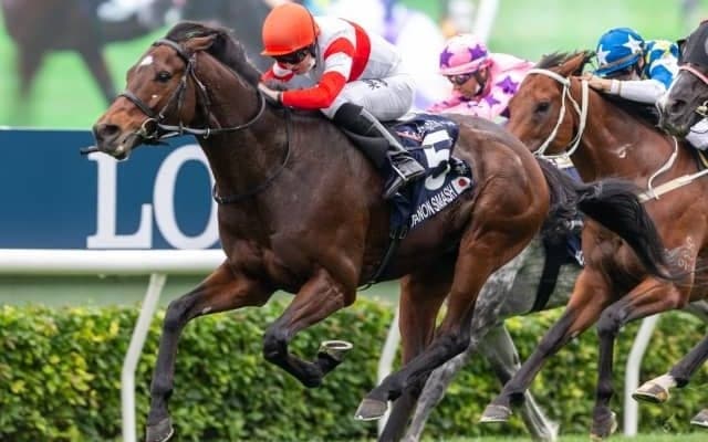 【香港スプリント 登録馬/想定騎手】“野田重撃”ダノンスマッシュは川田将雅騎手、“妙發靈機”ピクシーナイトは福永祐一騎手