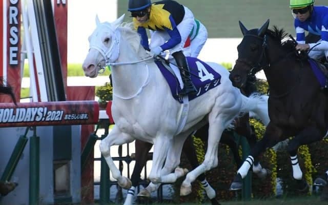 【チャンピオンズC前日オッズ】初ダートのソダシが2.7倍で1番人気