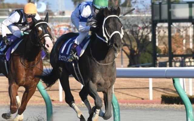 【WIN5予想】チャンピオンズCは臨戦過程などを素直に評価したい