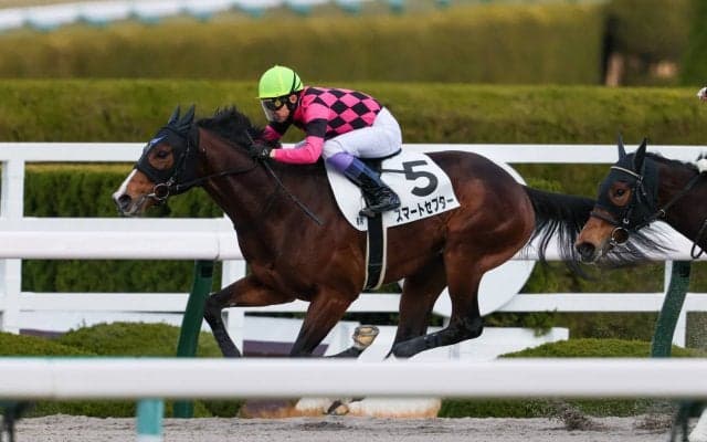 【新馬/阪神6R】武豊 スマートセプターがデビューV