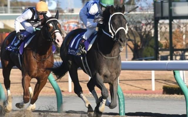 【チャンピオンズC予想】ダート戦としては特殊な適性が要求され、リピーターが生まれやすい