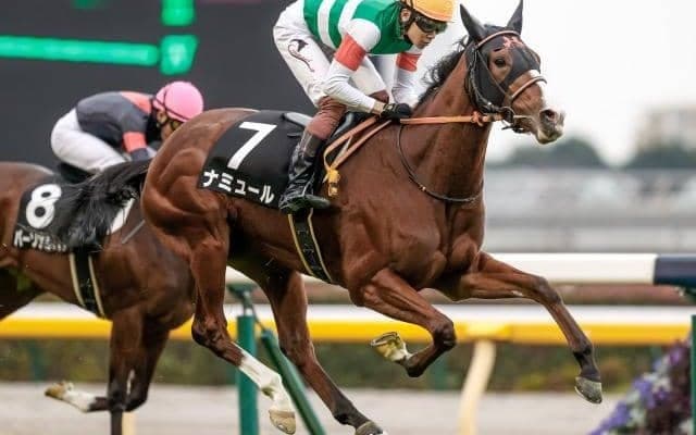 【阪神JF】ナミュールはC.デムーロ騎手とのコンビで参戦