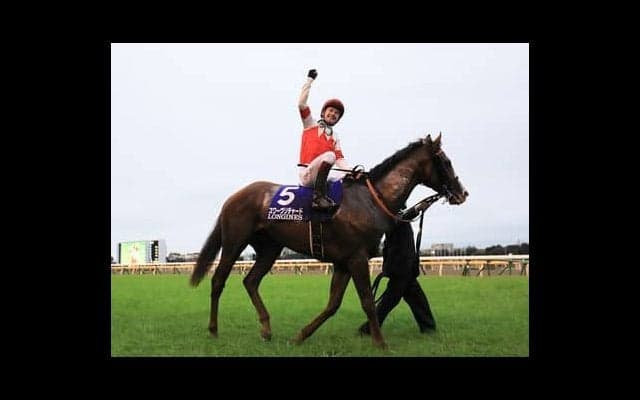 スワーヴリチャードの妹、ルナソルは有力馬そろう国枝厩舎でも期待される逸材