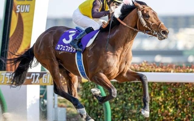 【チャンピオンズC予想】1番人気馬の信頼度が低いダートGI、期待の馬は