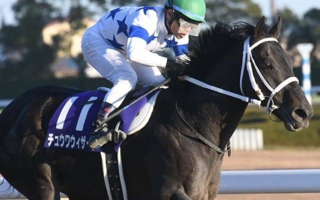 【チャンピオンズC予想】狙いは「1・2枠」と「6番人気から9番人気」？過去データからチャンピオンズCを探る！