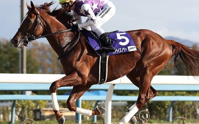 【チャンピオンズC予想】AIが「大波乱」を予想!? 人工知能が導き出した「穴馬」とは…