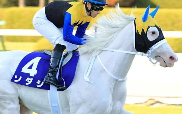 【チャンピオンズC・馬体重】ソダシは470kg(-4)、チュウワウィザードは488kg(+4)