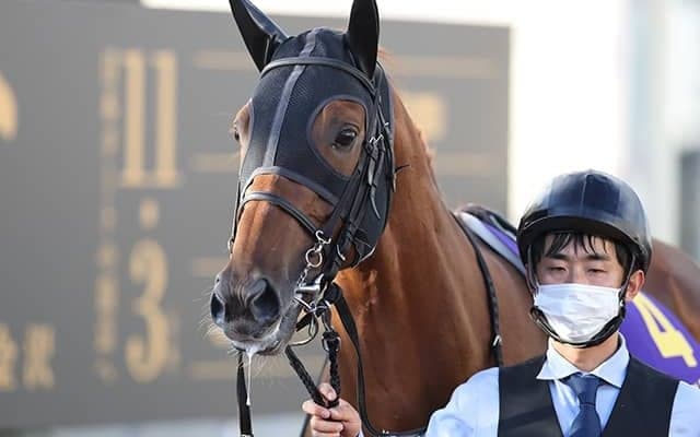 【チャンピオンズC】テーオーケインズが6馬身差突き放す圧巻V！初ダートのソダシは12着