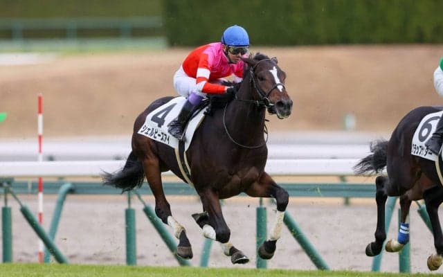 【新馬/中京5R】武豊 シェルビーズアイがデビューV！4億円ホースは敗れる