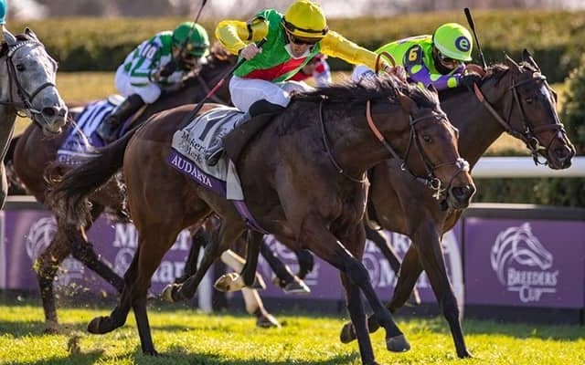 【海外競馬】昨年のBCフィリー＆メアターフ覇者アウダーリャが引退