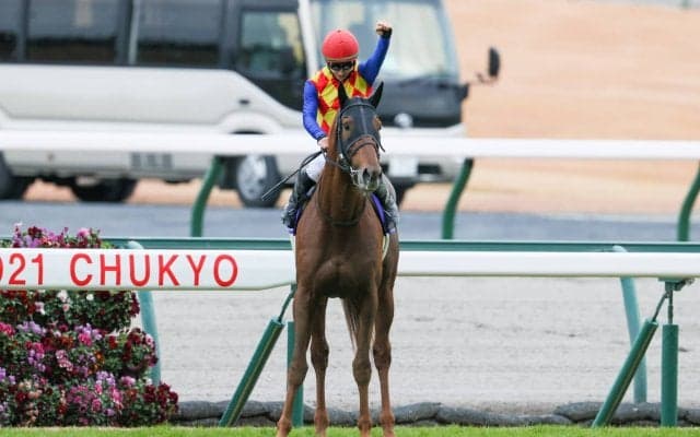 【チャンピオンズC】松山「凄い手応え」テーオーケインズが圧勝