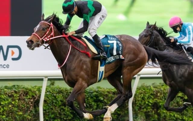 国内はGI阪神JF、海外は香港国際競走に注目/今週の競馬界の見どころ