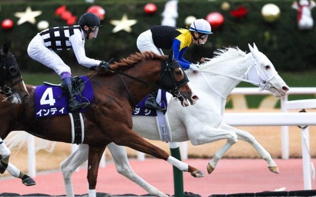 【チャンピオンズC】ソダシ吉田隼「地力の差が出た」レース後ジョッキーコメント