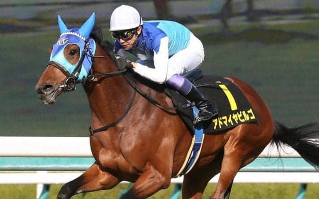 【中日新聞杯登録馬】アドマイヤビルゴなど19頭