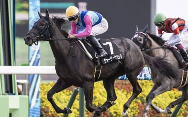 【阪神JF見どころ】シルバーステート産駒ウォーターナビレラの無傷4連勝なるか