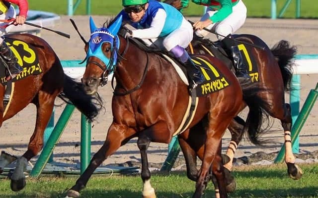 【中日新聞杯想定騎手】アドマイヤビルゴは武豊騎手、ボッケリーニは浜中俊騎手