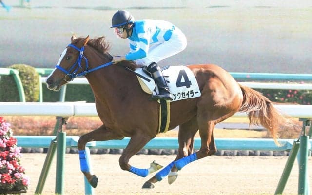 【新馬/中山5R】イスラボニータ産駒 ピンクセイラーがデビューV