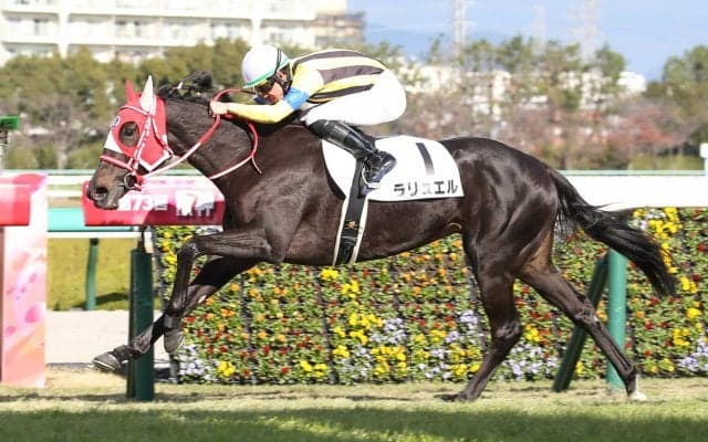 【新馬/阪神5R】ディープ産駒 ラリュエルがデビューV