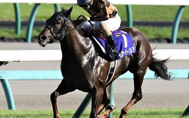 【カペラS想定騎手】モズスーパーフレアは松若風馬騎手、リュウノユキナは柴田善臣騎手