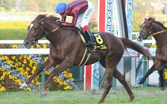 【中日新聞杯ハンデ確定】ラーゴムは56.0kg、ボッケリーニは57.5kg