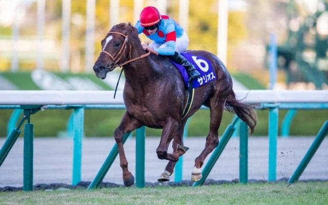 【2021香港国際競走】日本馬の近況（12月6日）