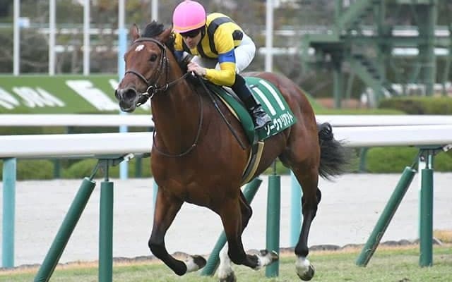 ここにきて本格化したソーヴァリアント　母ソーマジックは桜花賞3着馬