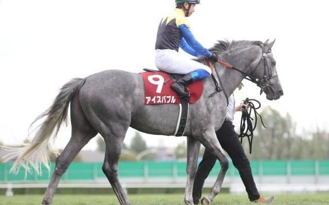 【中日新聞杯展望】近年は凡走からの変わり身が多い一戦、あの穴馬に期待