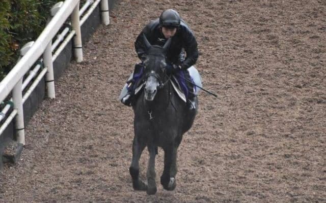 クロノジェネシスなど、先週の入厩情報/栗東トレセンニュース